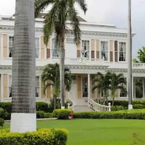 https://the-artist-place-new-kingston.hotelsochorios.net